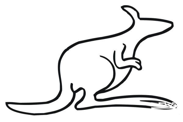 Kangaroo Outline coloring page image