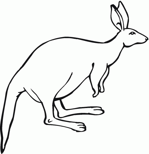 Kangaroo with Big Ears coloring page image