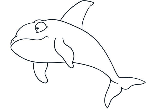 Killer Whale  coloring page image