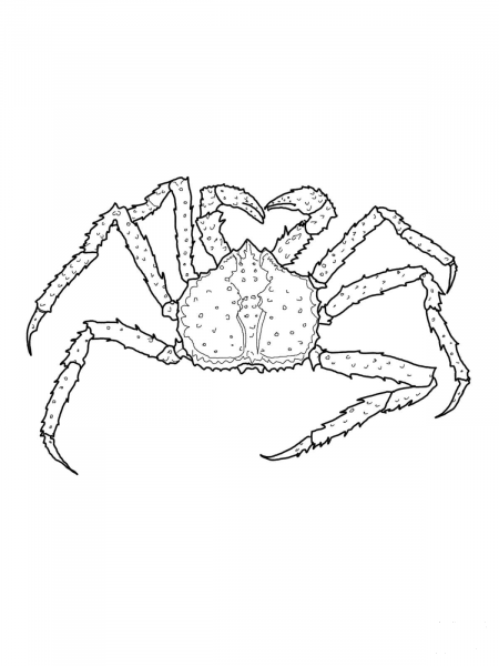 King Crab coloring page image