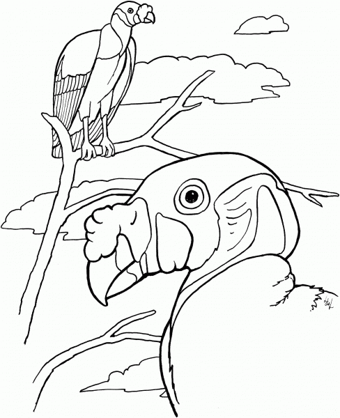 King Vultures coloring page image
