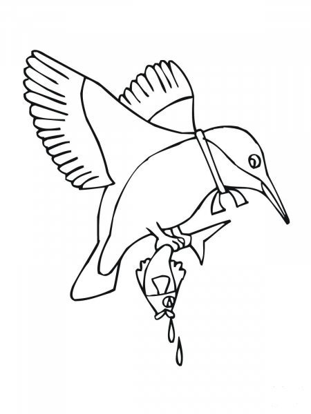 Kingfisher with Fish coloring page image
