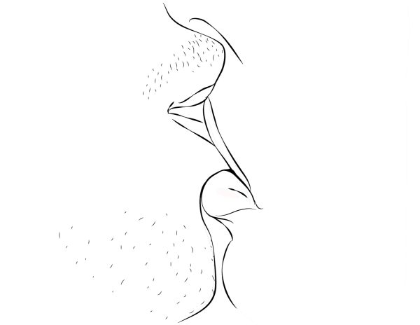 Kiss coloring page image