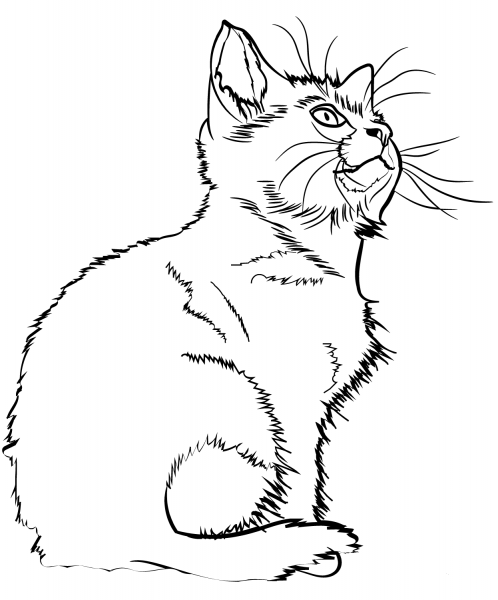 Kitten coloring page image