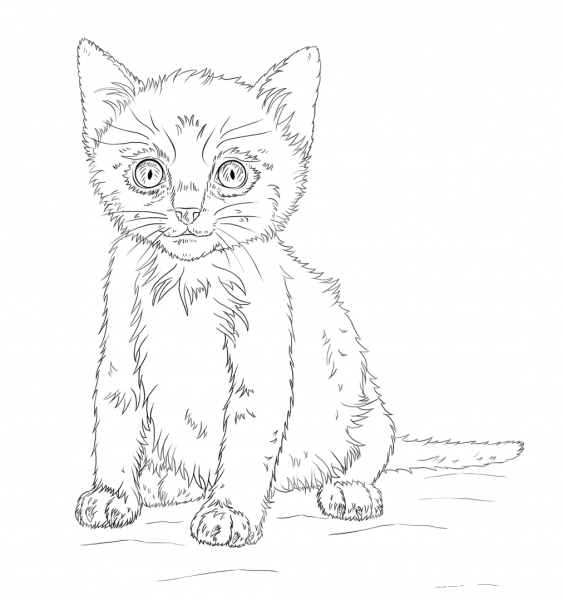 Kitten coloring page image