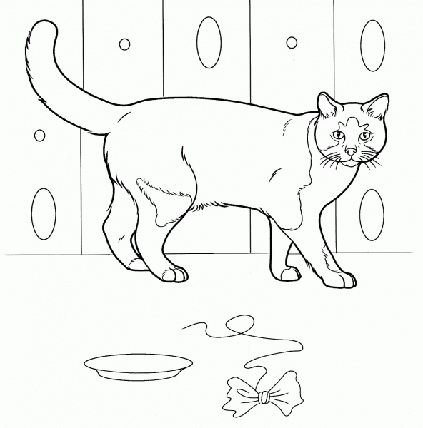 Kitty at Home  coloring page image