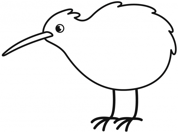 Kiwi Bird coloring page image
