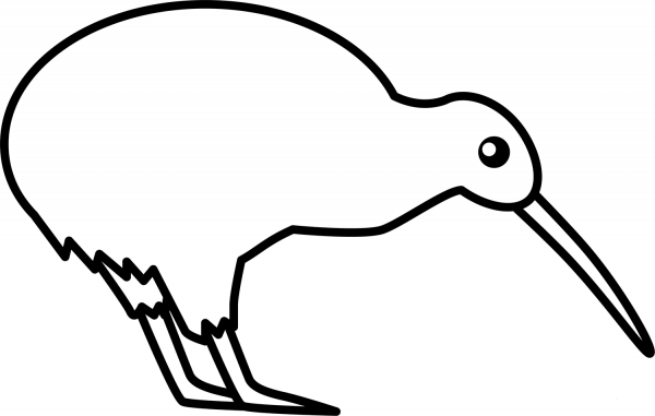 Kiwi Bird coloring page image