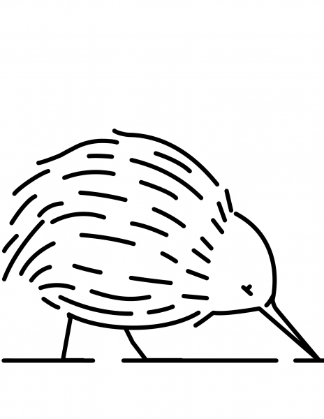 Kiwi coloring page image