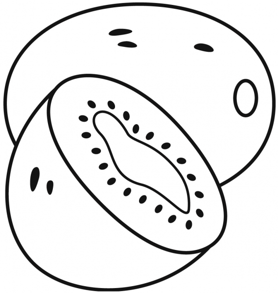 Kiwi coloring page image