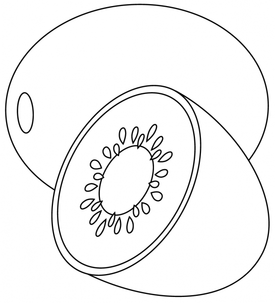 Kiwi coloring page image