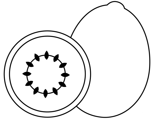 Kiwi Fruit coloring page image