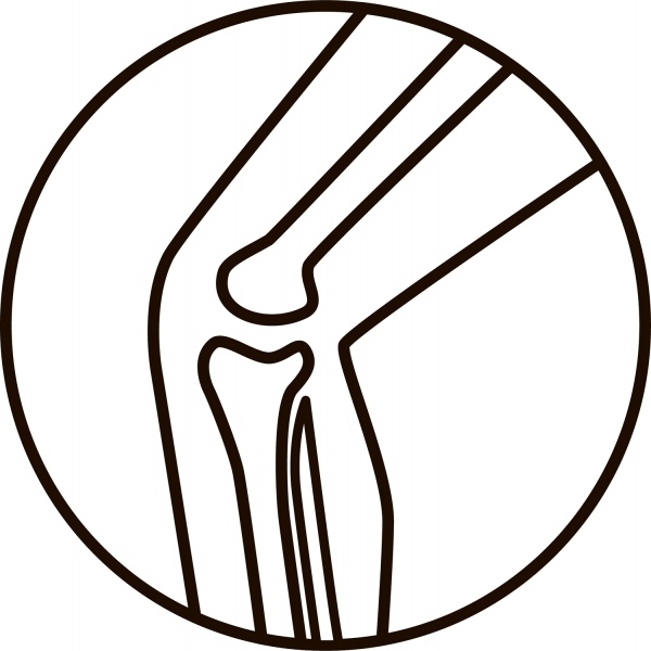 Knee coloring page image