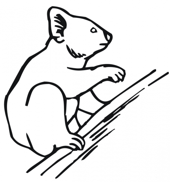 Koala Climbing a Tree coloring page image
