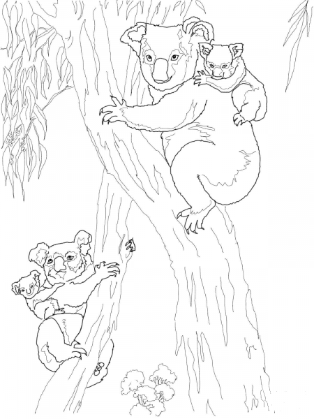 Koala Moms with Babies coloring page image