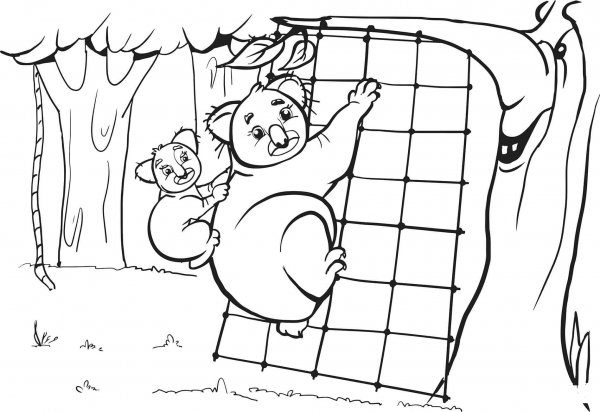 Koala Mother and Her Cub are Climbing on the Grid coloring page image