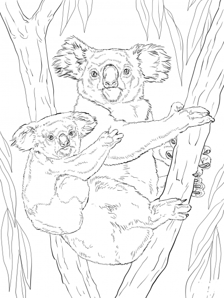 Koala with Baby coloring page image