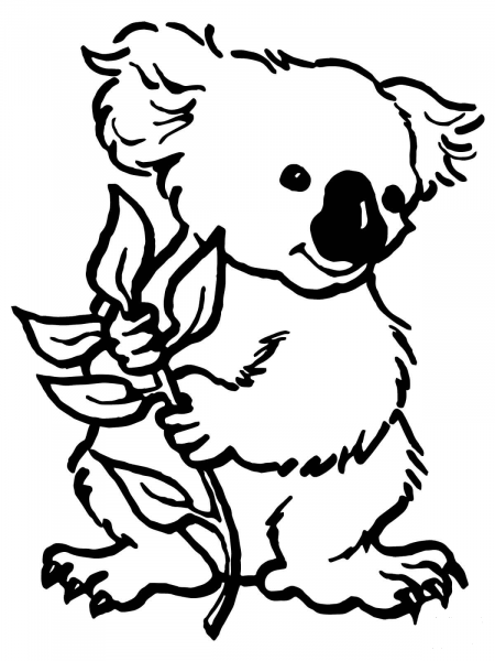 Koala with Eucalyptus Leaf coloring page image