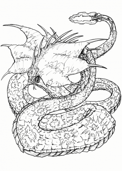 Kobra Grandee coloring page image