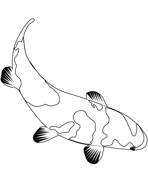 Koi Carp coloring page image
