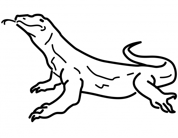 Komodo coloring page image