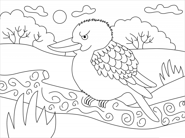 Kookaburra coloring page image