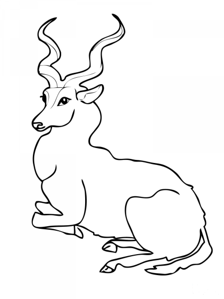 Kudu Forest Antelope coloring page image