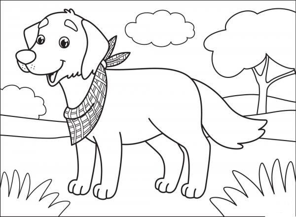 Labrador coloring page image