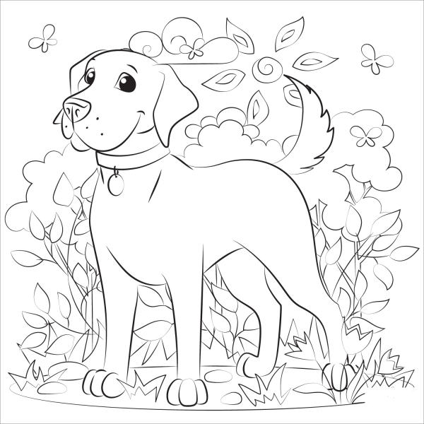 Labrador coloring page image