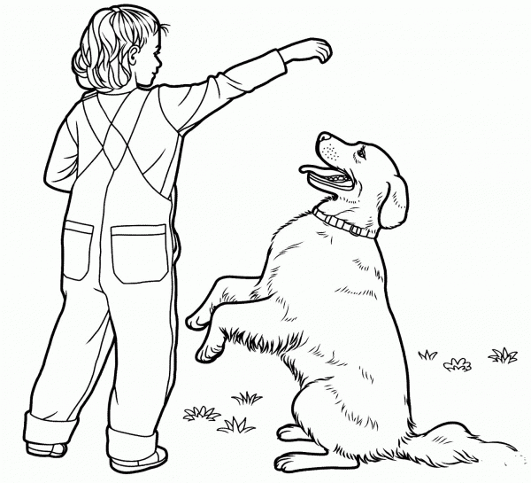 Labrador Retriever coloring page image