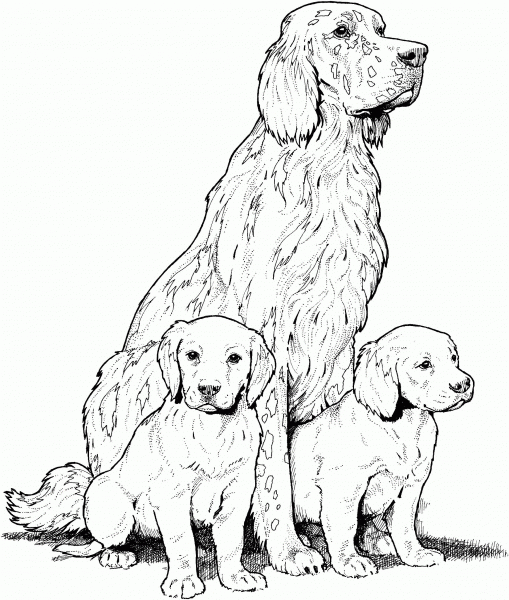 Labrador with Puppies coloring page image