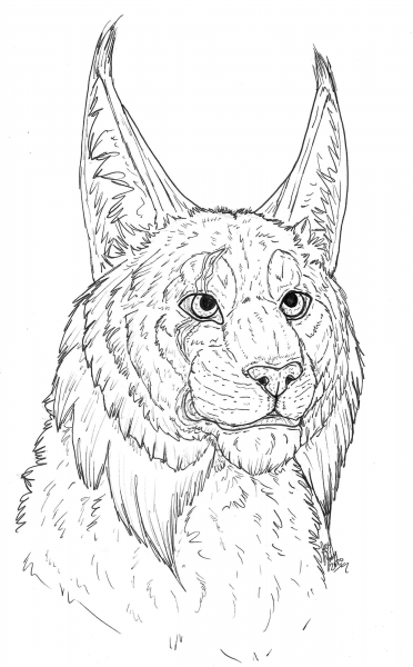 Lacy Head Fluff coloring page image