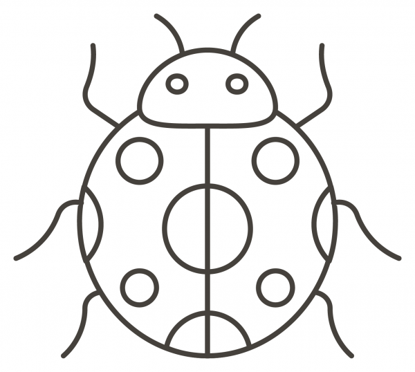 Lady Beetle coloring page image
