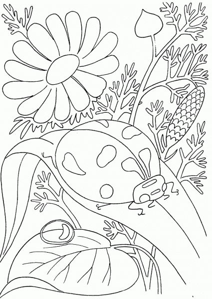 Ladybird Among Flowers coloring page image