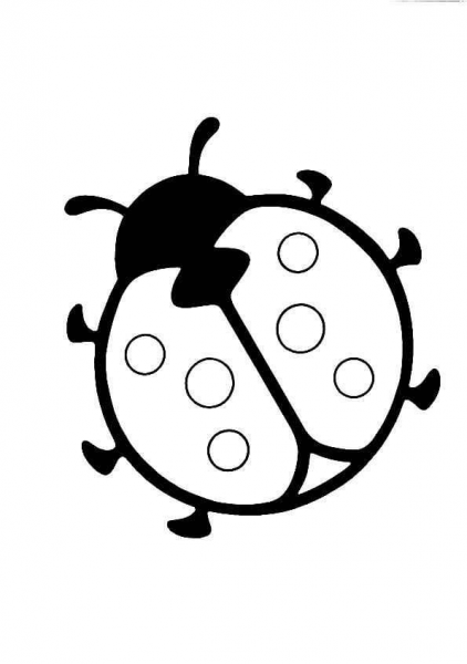 Ladybird coloring page image