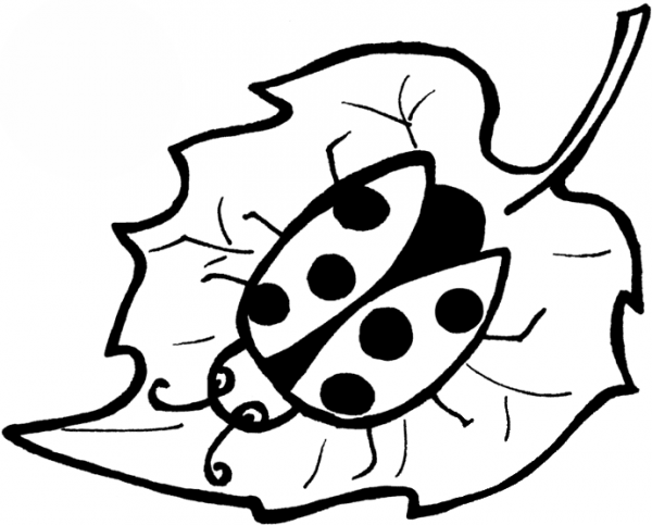 Ladybird On a Leaf coloring page image