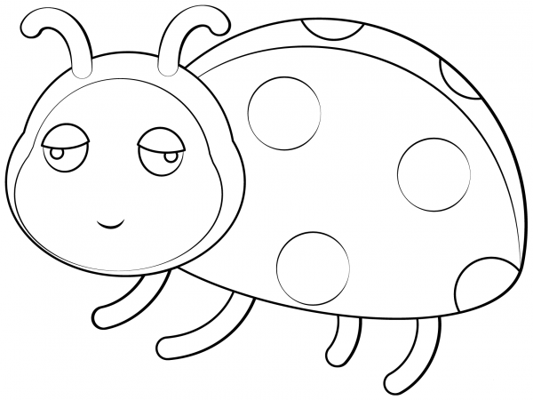 Ladybug coloring page image