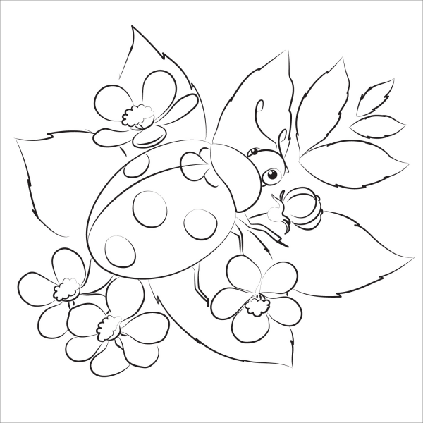 Ladybug coloring page image