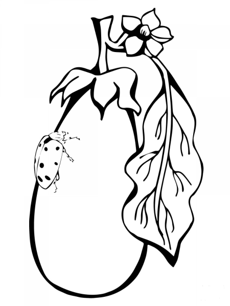 Ladybug on Eggplant coloring page image