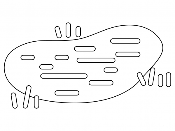 Lake coloring page image