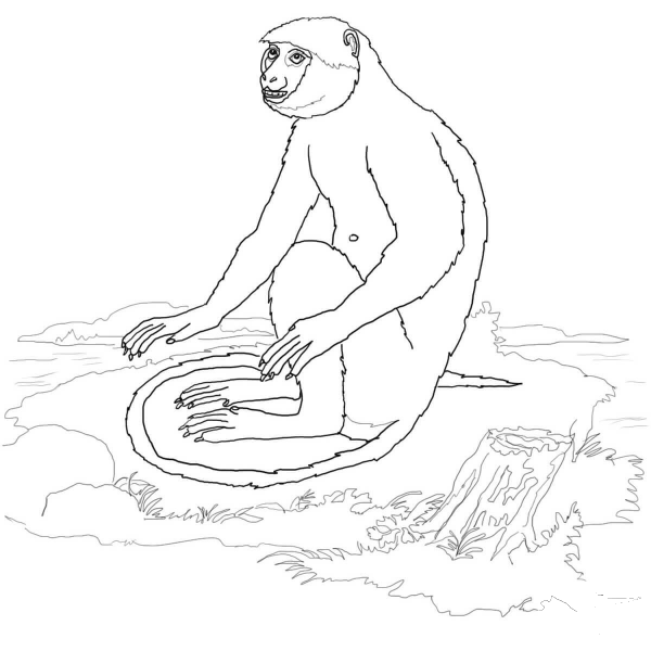 Langur coloring page image