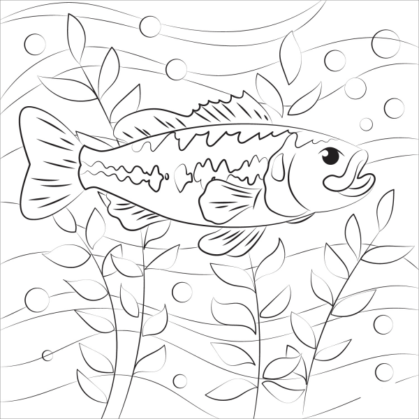 Largemouth Bass coloring page image