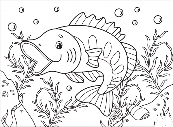 Largemouthbass coloring page image