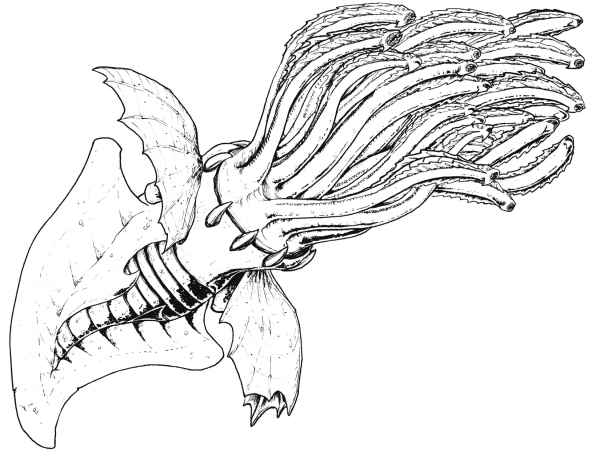 Larnaean coloring page image