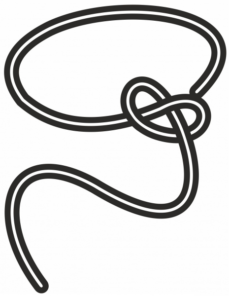 Lasso coloring page image