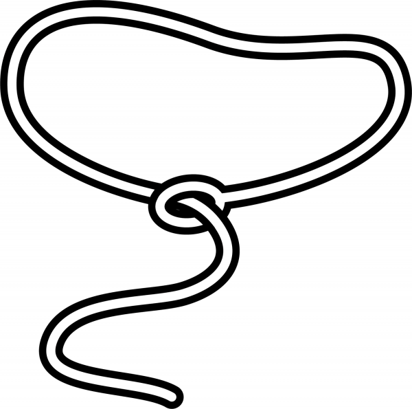 Lasso coloring page image