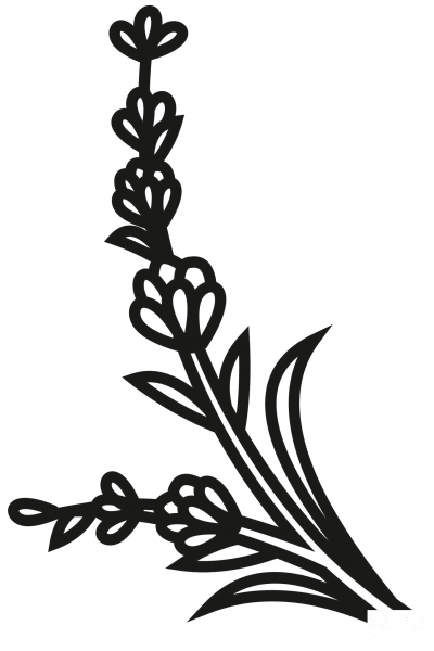 Lavender coloring page image