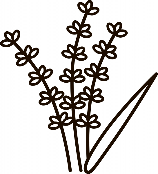 Lavender coloring page image