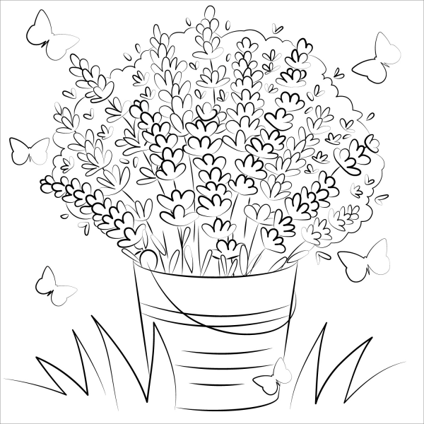 Lavender coloring page image