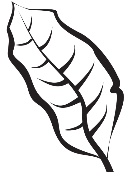 Leaf  coloring page image